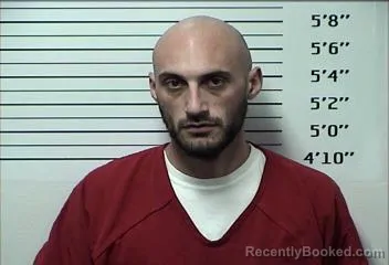 Booking photo from Rhea County, Tennessee