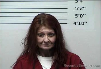Mugshot of CHRISTY MICHELLE VELER