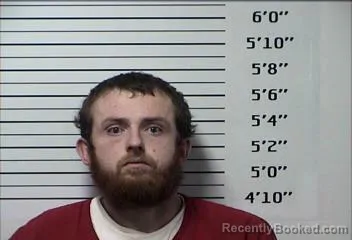 Booking photo from Rhea County, Tennessee