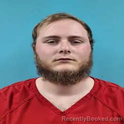 Mugshot of DAVID MICHAEL BREAZEALE