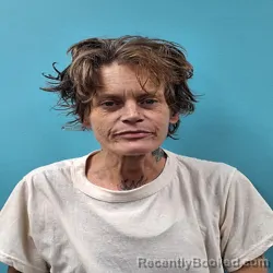 Mugshot of TARA JUNE HENDRICKS