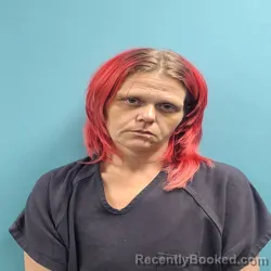 Mugshot of SHELYN NICHOLE COLLIER