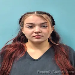 Mugshot of BRIANNA FAYE KOENIG