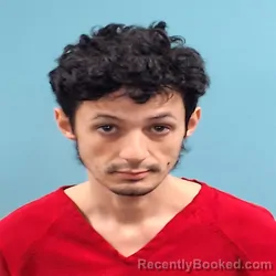 Mugshot of BRANDON LOUIS BANE