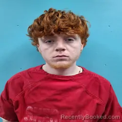 Mugshot of PHOENIX KASH MILLER