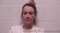 Mugshot of Jolene Rene Harvey