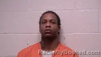 Mugshot of Terrain Johnson