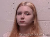 Mugshot of Hailey Layne Martin Holcomb