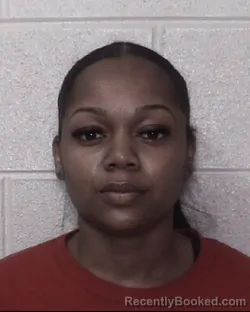 Mugshot of BRIDGETTE N TURNER