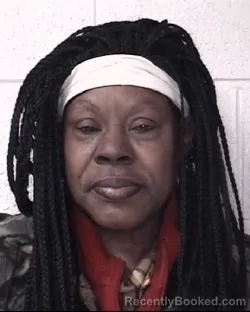 Mugshot of VIRA MAE PERRY-KING