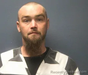 Mugshot of BRYAN STANLEY WALKER