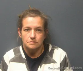 Booking photo from Sevier County, Tennessee