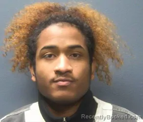 Booking photo from Sevier County, Tennessee