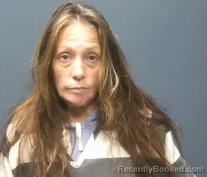 Booking photo from Sevier County, Tennessee