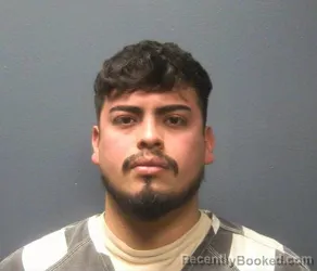 Booking photo from Sevier County, Tennessee