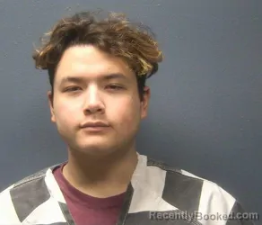 Booking photo from Sevier County, Tennessee