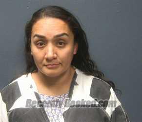 Booking photo from Sevier County, Tennessee