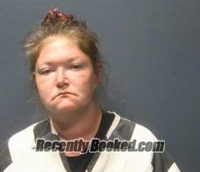 Booking photo from Sevier County, Tennessee