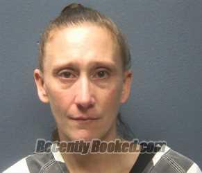 Booking photo from Sevier County, Tennessee