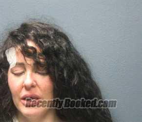 Booking photo from Sevier County, Tennessee