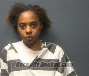 Booking photo from Sevier County, Tennessee