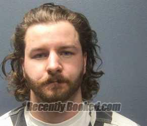 Booking photo from Sevier County, Tennessee