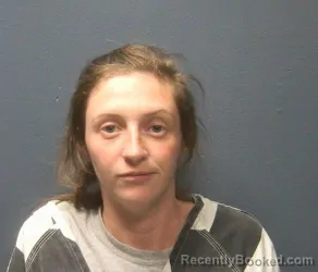 Mugshot of MARISSA GLORIA ANN MCGINNIS