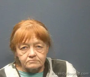 Mugshot of LISA SUTTON