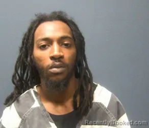 Booking photo from Sevier County, Tennessee