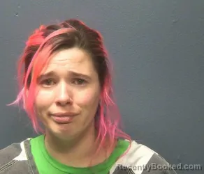 Booking photo from Sevier County, Tennessee