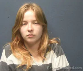 Mugshot of DEANNA JOLENE DAVIDSON
