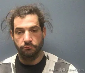 Mugshot of LOGAN ROBERT PERLINI