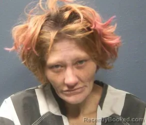 Mugshot of SHANNON KING