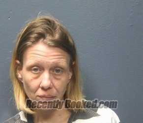 Booking photo from Sevier County, Tennessee