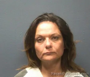 Mugshot of MITZI JEAN STOUT