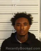 Mugshot of LECEDRI BROWN