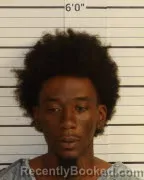 Mugshot of SWANZEY YOUNG