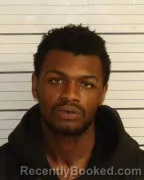 Mugshot of TERRELL T SULLIVAN