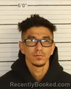 Mugshot of ANTHONY R JENKINS