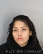 Mugshot of ESPERANZA PEREZ