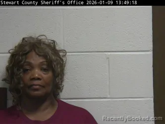 Mugshot of TOMMIE S WILLIAMS