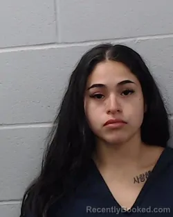 Booking photo from Hays County, Texas