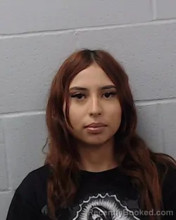 Mugshot of Ashlyn Haydee Rosales