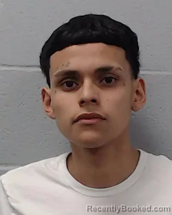 Mugshot of Jesse James Natal