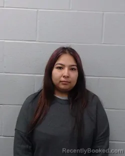 Mugshot of Lorena Renee Hernandez