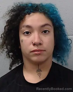 Mugshot of Monica Salerno