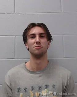 Mugshot of Mihajlo Brankovic