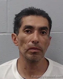 Mugshot of Guadalupe Rodriguez