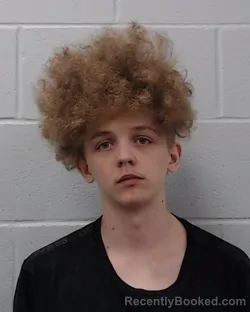 Mugshot of Jonah Matthew Harbour