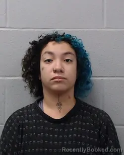 Mugshot of Monica Salerno